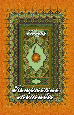 Хайдар Бедретдинов Тюркские мотивы обложка книги