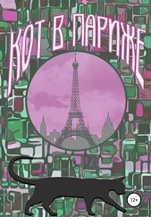 Ксения Яковлева - Кот в Париже