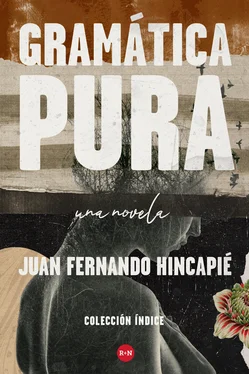 Juan Fernando Hincapié Gramática pura обложка книги
