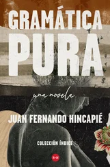Juan Fernando Hincapié - Gramática pura