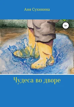 Аня Сухинина Чудеса во дворе обложка книги