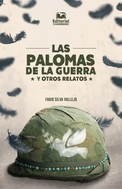Fabio Silva Vallejo Las palomas de la guerra обложка книги