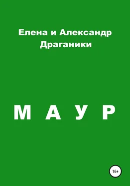Александр Драганик Маур обложка книги