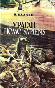 Николай Балаев Ураган «Homo Sapiens» обложка книги