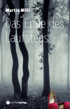 Martin Willi Das Ende des Laufstegs обложка книги