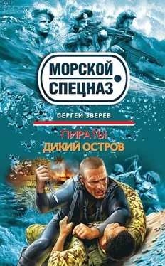 Сергей Зверев Дикий остров обложка книги