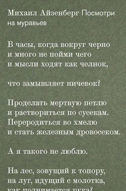 Михаил Айзенберг Посмотри на муравьев обложка книги