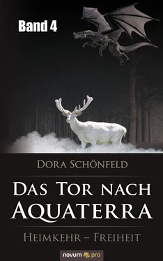 Dora Schönfeld Das Tor nach Aquaterra – Band 4 обложка книги