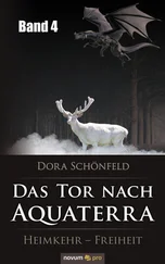 Dora Schönfeld - Das Tor nach Aquaterra – Band 4