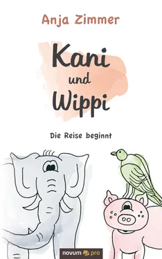 Anja Zimmer Kani und Wippi обложка книги