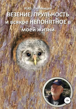 Игорь Литвинцев ВЕЗЕНИЕ, ПРУЛЬНОСТЬ и всякое НЕПОНЯТНОЕ в моей жизни обложка книги