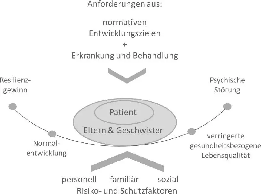 Abb 4 Schematische Darstellung der Einflussfaktoren und - фото 3