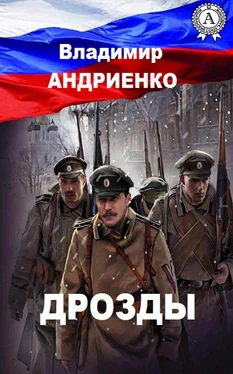 Владимир Андриенко Дрозды обложка книги