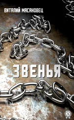 Виталий Масановец - Звенья