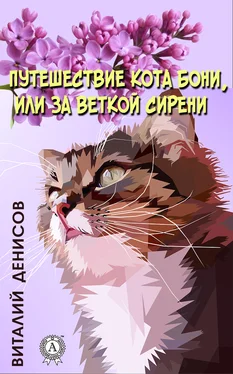 Виталий Денисов Путешествие кота Бони, или за веткой сирени обложка книги