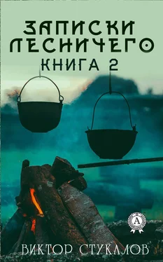 Виктор Стукалов Записки лесничего – 2 обложка книги