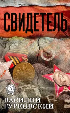 Василий Гурковский Свидетель обложка книги