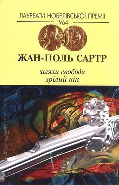 Жан-Поль Сартр Шляхи свободи. Зрілий вік обложка книги