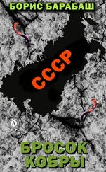 Борис Барабаш - Бросок кобры