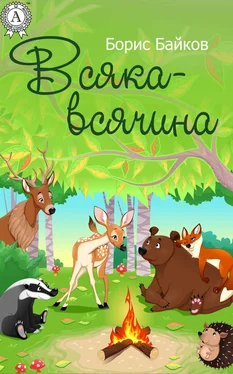 Борис Байков Всяка-всячина обложка книги