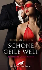 Brooklyn Collins - Schöne geile Welt | 11 Erotische Geschichten