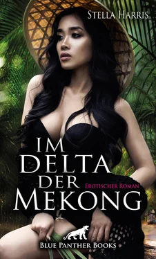 Stella Harris Im Delta der Mekong обложка книги