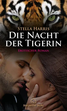 Stella Harris Die Nacht der Tigerin обложка книги