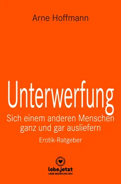 Arne Hoffmann Unterwerfung обложка книги