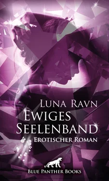 Luna Ravn Ewiges Seelenband обложка книги