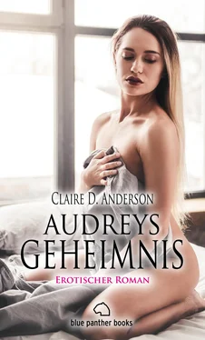 Claire D. Anderson Audreys Geheimnis