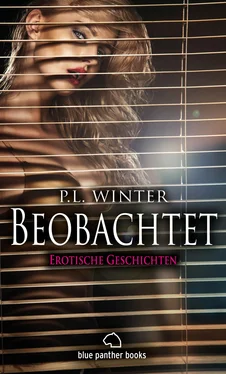 P.L. Winter Beobachtet обложка книги