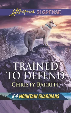 Christy Barritt Trained To Defend обложка книги