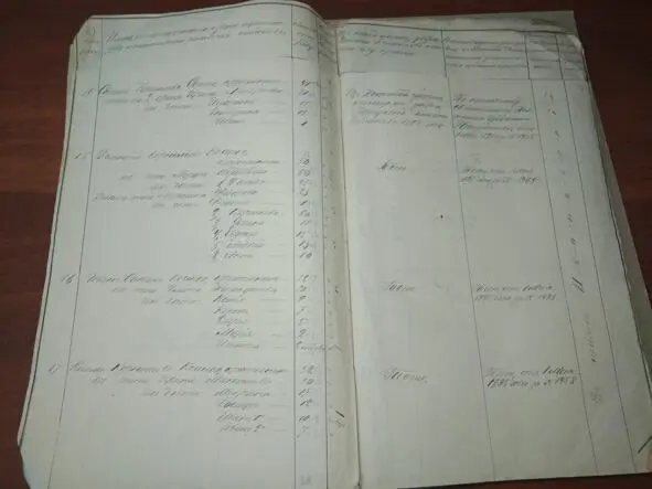 Реестр переселенцев хранится в Томском гос архиве Ф196 оп15 д1916 В - фото 12