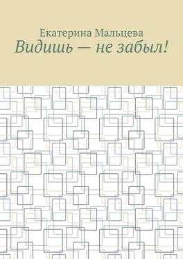 Екатерина Мальцева Видишь – не забыл! обложка книги
