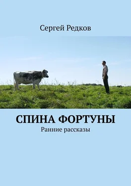 Сергей Редков Спина фортуны. Ранние рассказы обложка книги