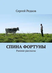 Сергей Редков - Спина фортуны. Ранние рассказы