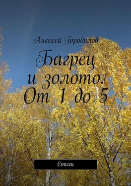 Алексей Городилов Багрец и золото. От 1 до 5. Стихи