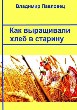 Владимир Павловец Как выращивали хлеб в старину обложка книги