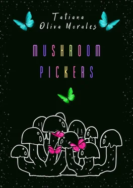 Tatiana Oliva Morales Mushroom pickers обложка книги