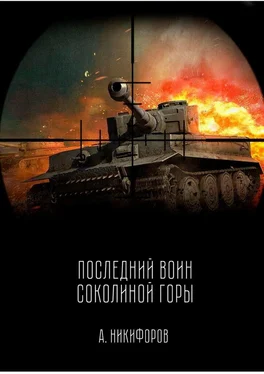 Александр Никифоров Последний воин Соколиной горы обложка книги