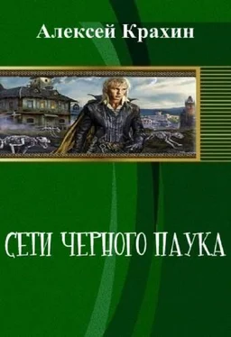 Алексей Крахин Сети чёрного паука (СИ) обложка книги