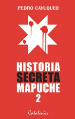 Pedro Cayuqueo - Historia secreta mapuche 2