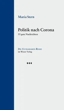 Maria Stern Politik nach Corona обложка книги
