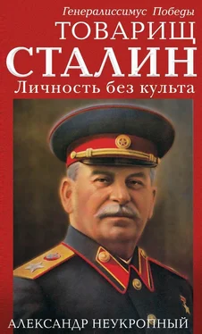 Александр Неукропный Товарищ Сталин. Личность без культа обложка книги