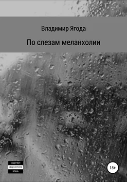Владимир Ягода По слезам меланхолии обложка книги