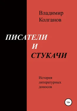 Владимир Колганов Писатели и стукачи обложка книги