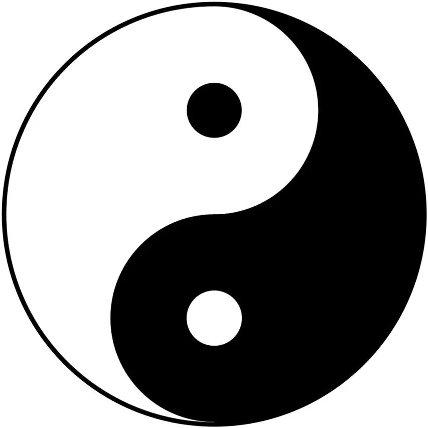 Yin y Yang el principio de la armonía Roger Marcos aborda estos cambios sin - фото 1
