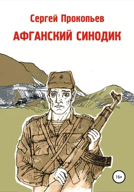 Сергей Прокопьев Афганский синодик обложка книги