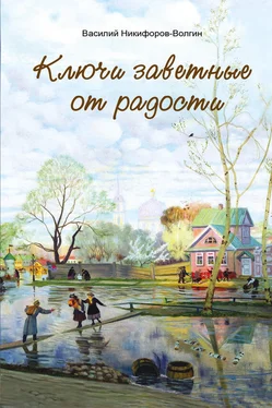 Василий Никифоров-Волгин Ключи заветные от радости обложка книги