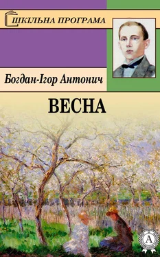 Богдан-Ігор Антонич Весна обложка книги